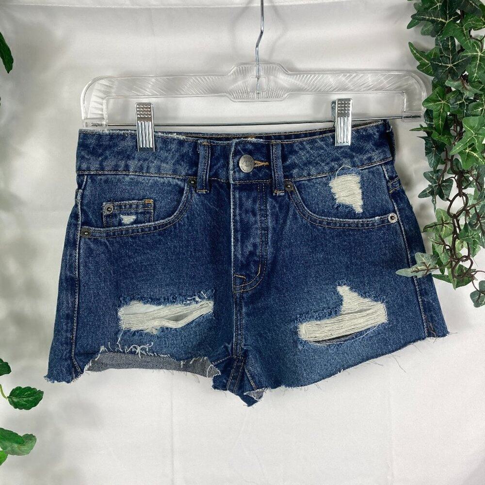 Amuse Society Raw hem distressed jean shorts